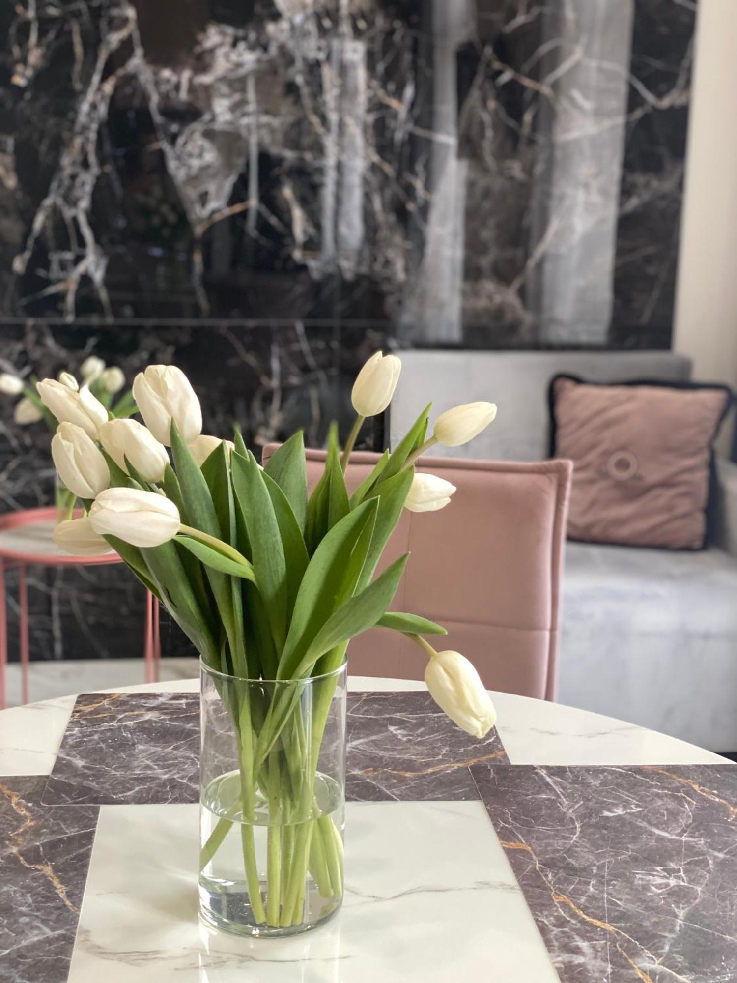 Family Residence Boutique Apartments 利沃夫 客房 照片